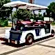 Electric 2 Seater Golf Vehicle with Stretcher Dass BAGI-2A Electric 2 Seater Golf Vehicle with Stretcher Dass BAGI-2A