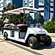 Electric 2 Seater Golf Vehicle with Stretcher Dass BAGI-2A Electric 2 Seater Golf Vehicle with Stretcher Dass BAGI-2A