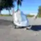 Elephant Type Garbage Collection Vehicle Elephant Type Garbage Collection Vehicle