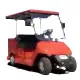Elektrikli 2 Kişilik Kasalı Golf Arabası Dass BAGI-2K