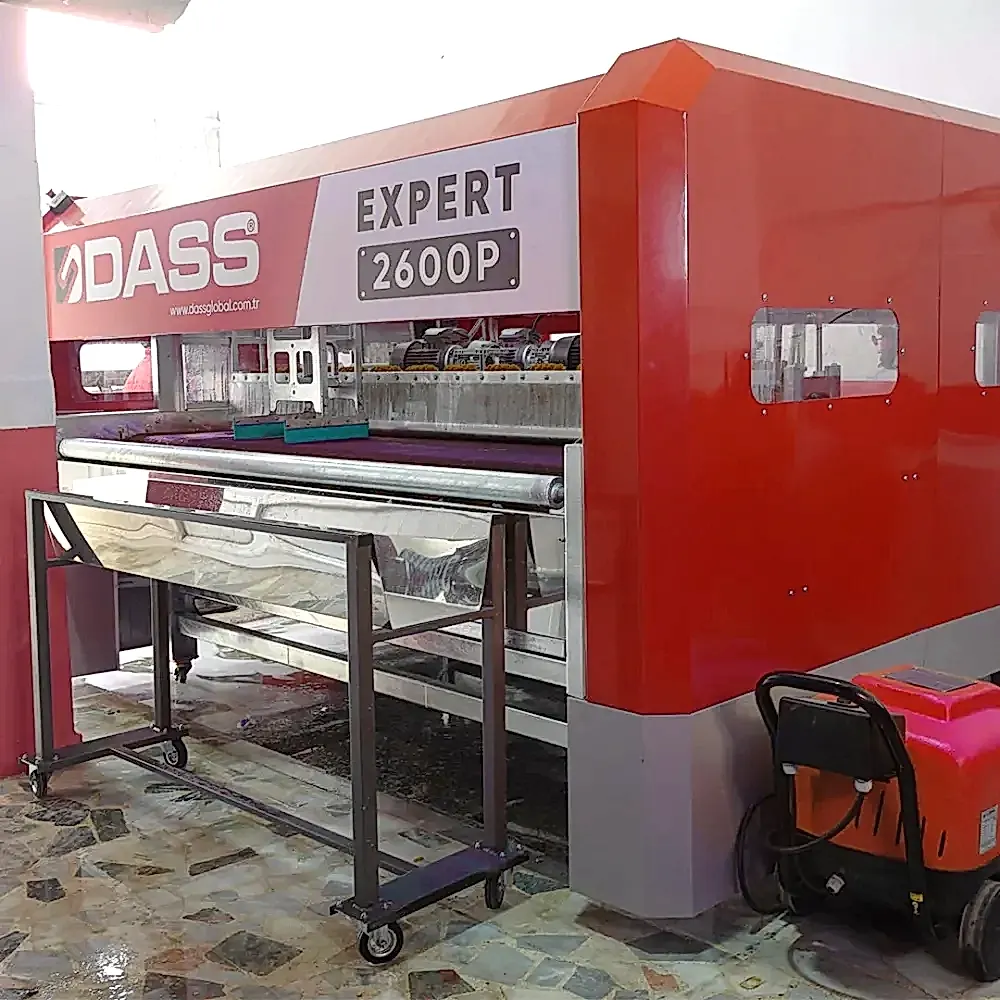 Dokunmatik Panelli Otomatik Halı Yıkama Makinesi Dass EXPERT 2600M